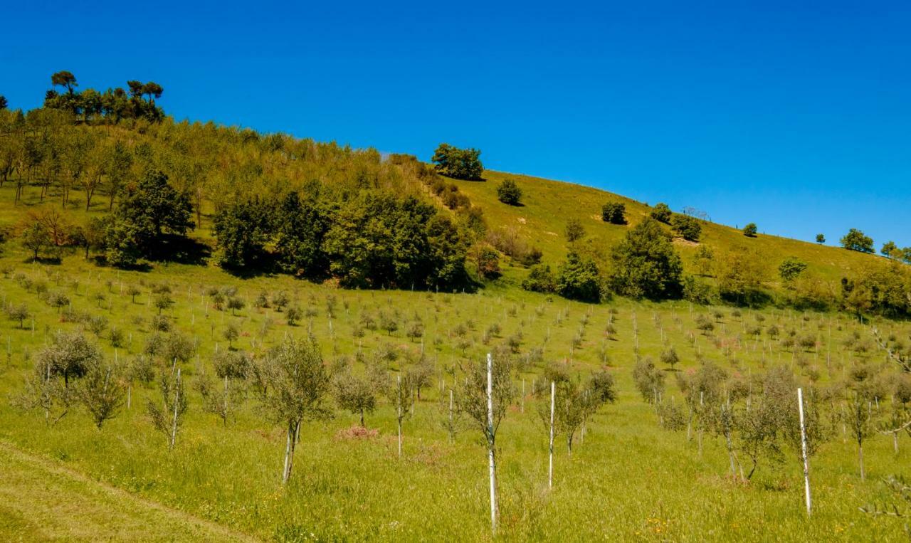 La Quercia - Bolognarooms Sasso Marconi Buitenkant foto